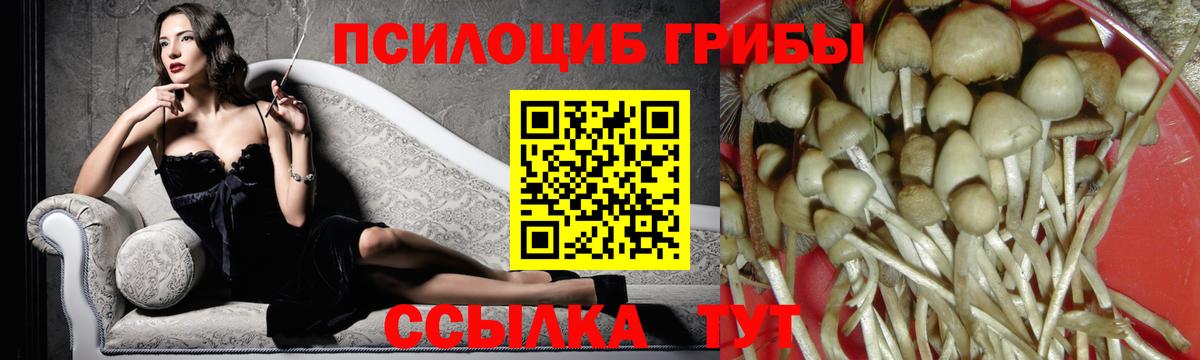 Галлюциногенные грибы мицелий  Вход с VPN  Галлюциногенные грибы Magic Shrooms  Серпухов 